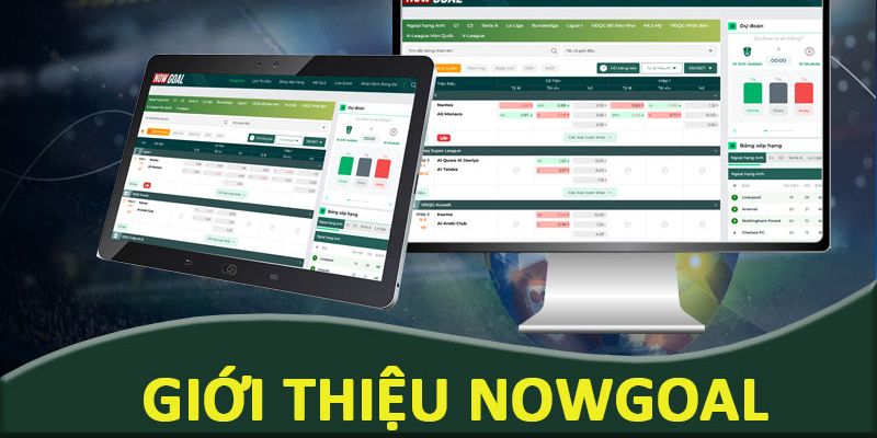 CEO Nowgoal Bảo Loan hành trình Nowgoal