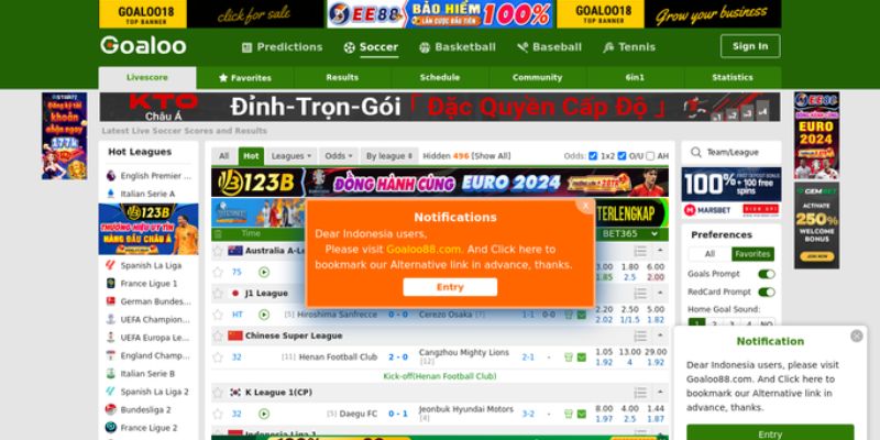 Đại lý Nowgoal hướng dẫn